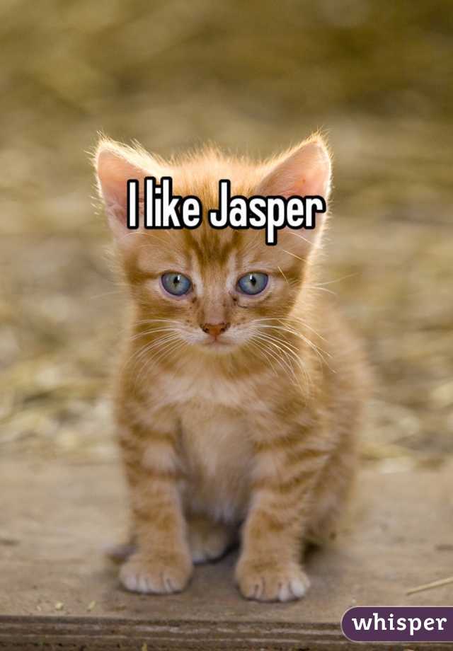 I like Jasper