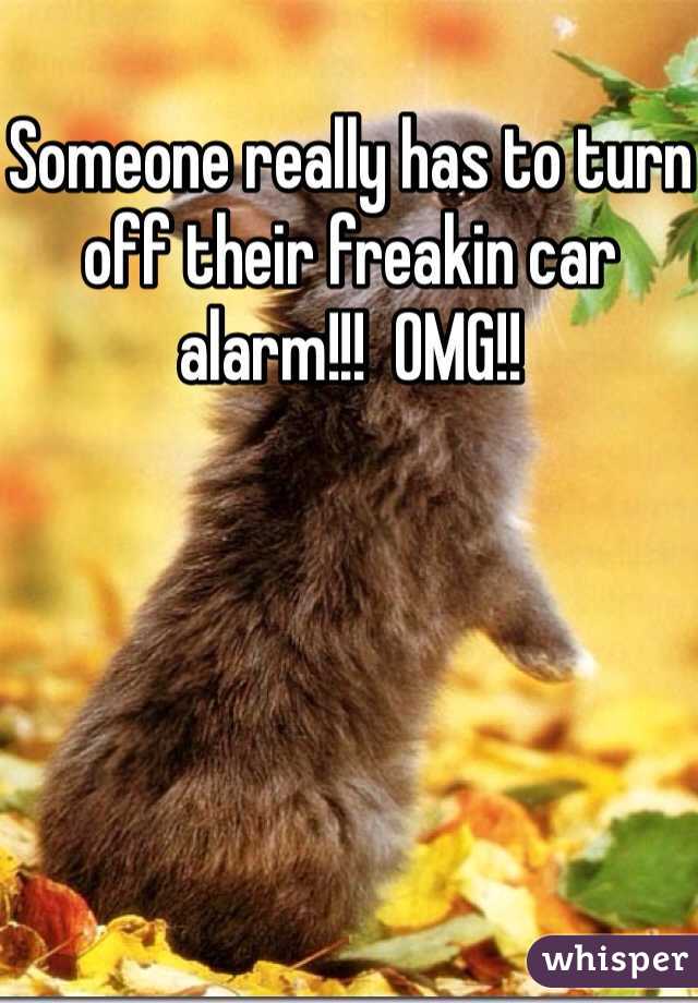Someone really has to turn off their freakin car alarm!!!  OMG!!