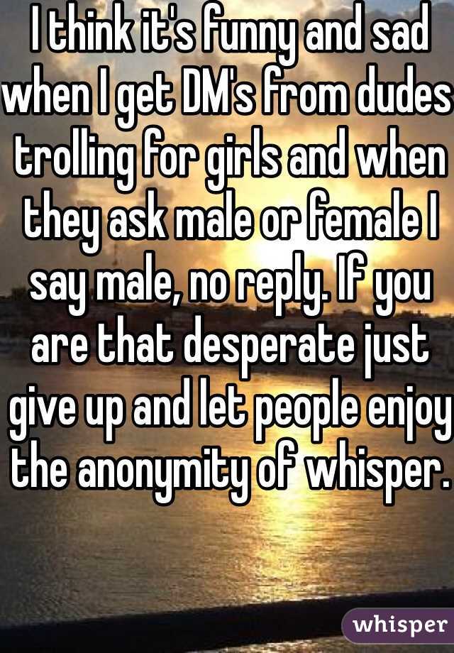 I think it's funny and sad when I get DM's from dudes trolling for girls and when they ask male or female I say male, no reply. If you are that desperate just give up and let people enjoy the anonymity of whisper. 