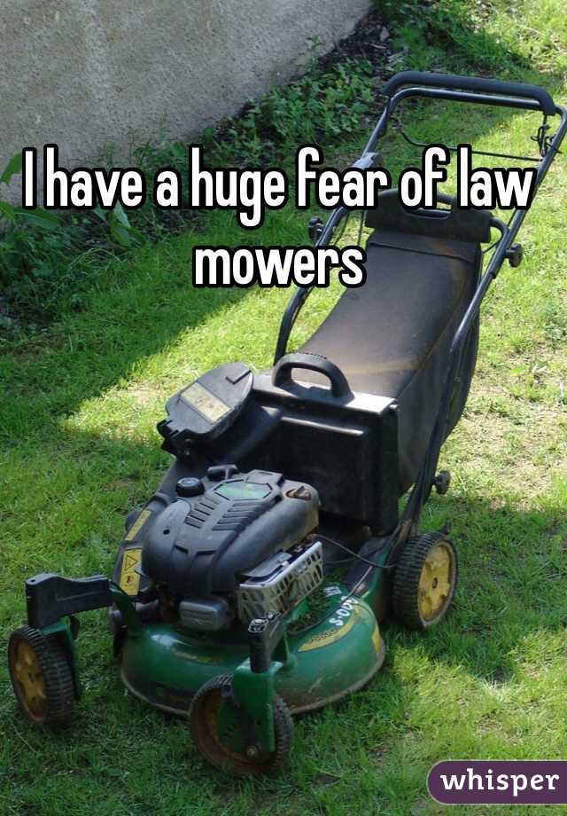 I have a huge fear of law mowers 

