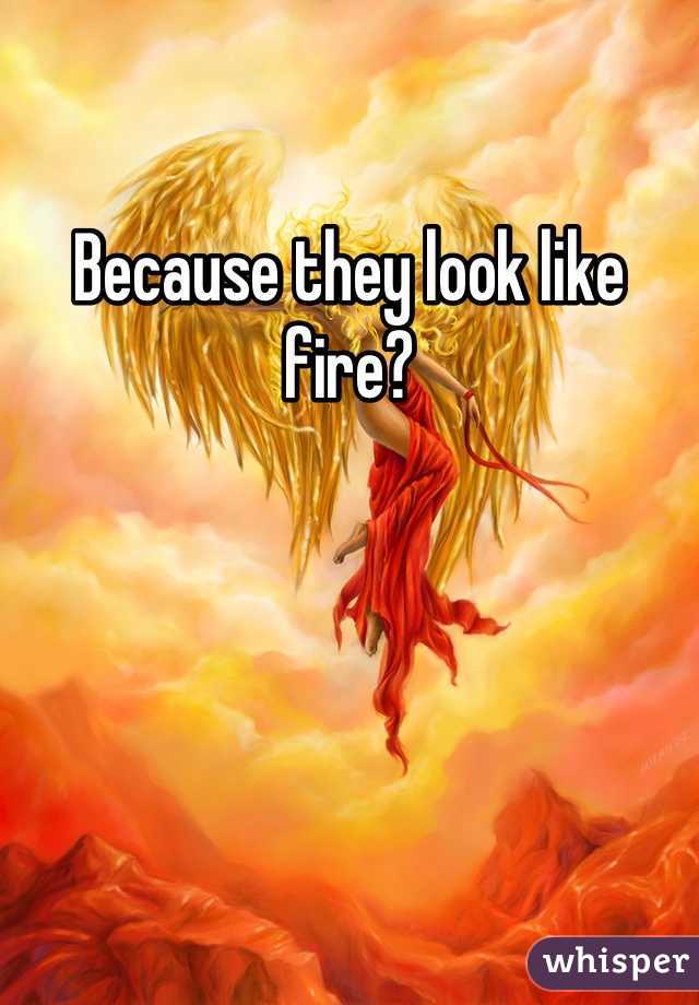 Because they look like fire?