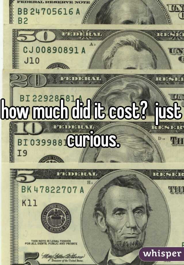 how much did it cost?  just curious.