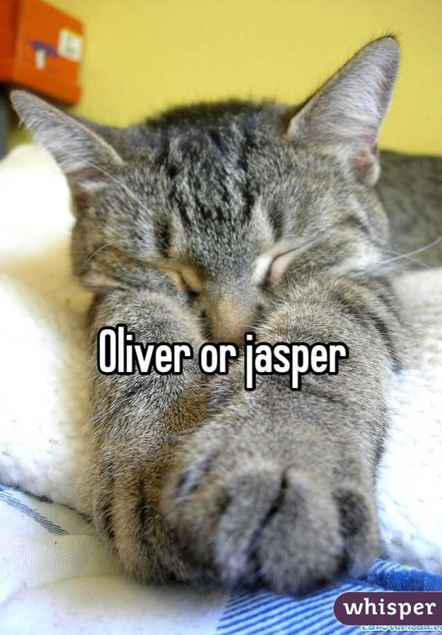 Oliver or jasper 