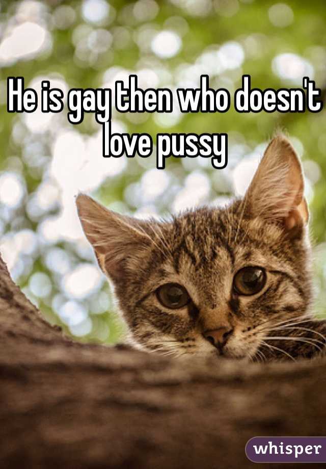 He is gay then who doesn't love pussy 