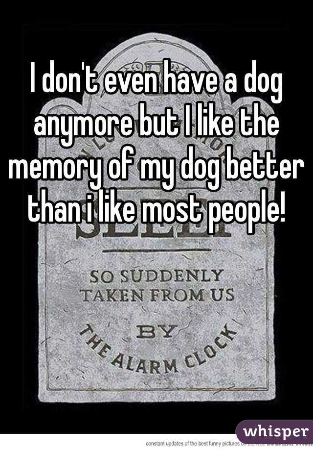 I don't even have a dog anymore but I like the memory of my dog better than i like most people!