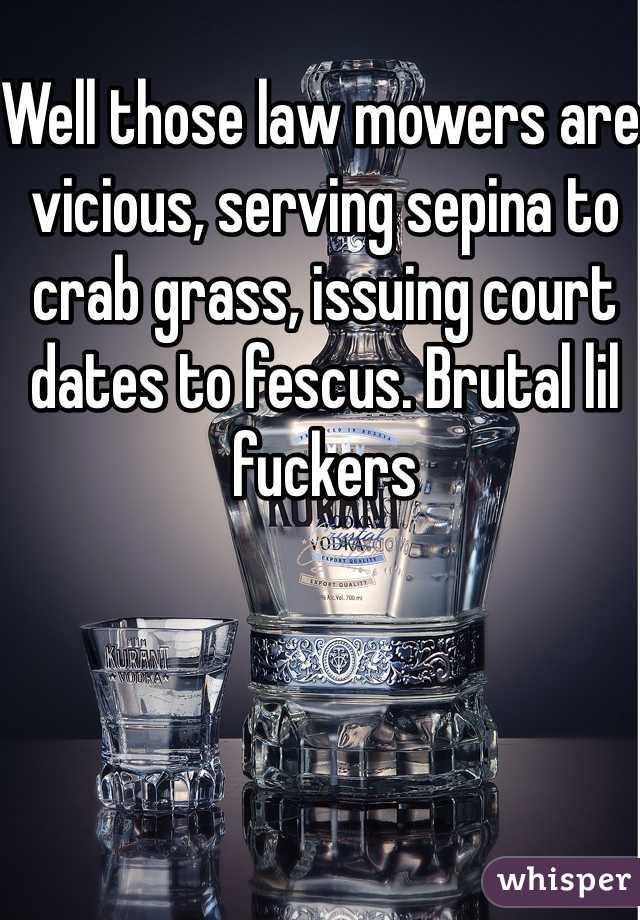 Well those law mowers are vicious, serving sepina to crab grass, issuing court dates to fescus. Brutal lil fuckers