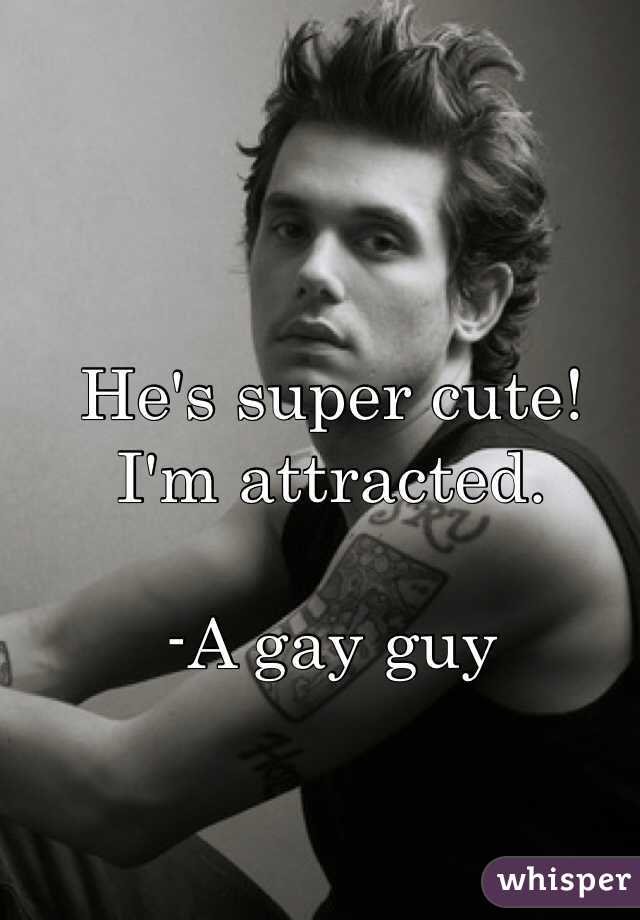 He's super cute! I'm attracted.

-A gay guy