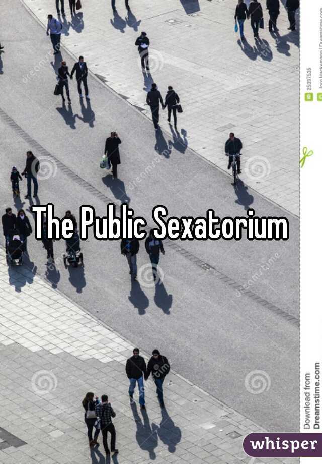 The Public Sexatorium