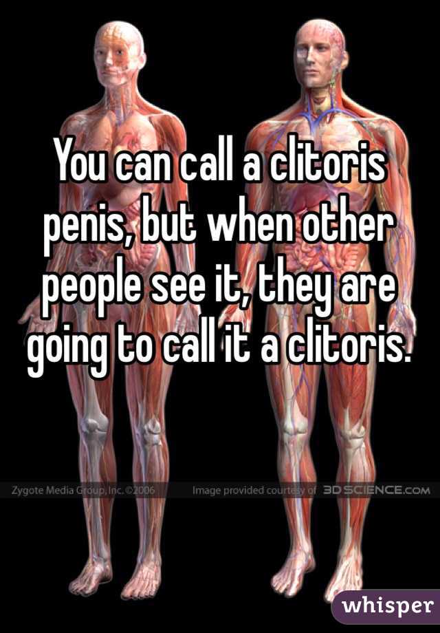 You can call a clitoris penis, but when other people see it, they are going to call it a clitoris.