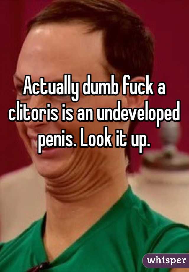 Actually dumb fuck a clitoris is an undeveloped penis. Look it up.