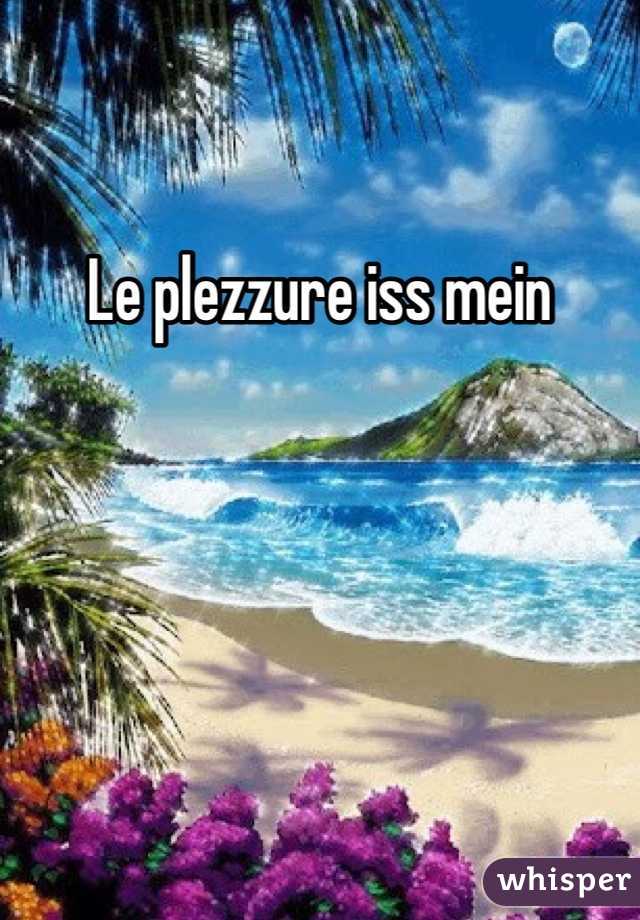 Le plezzure iss mein