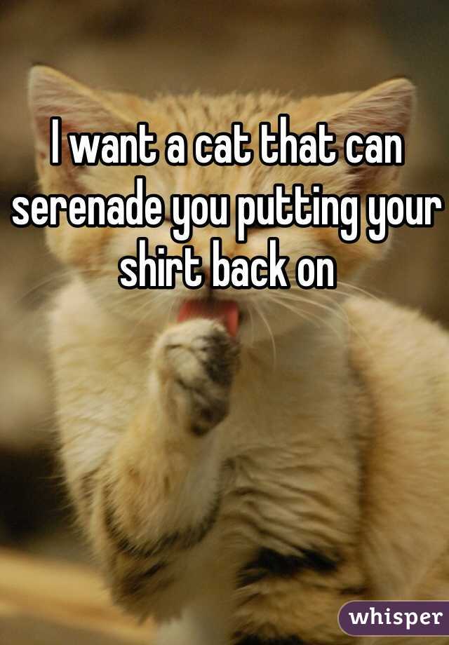 I want a cat that can serenade you putting your shirt back on