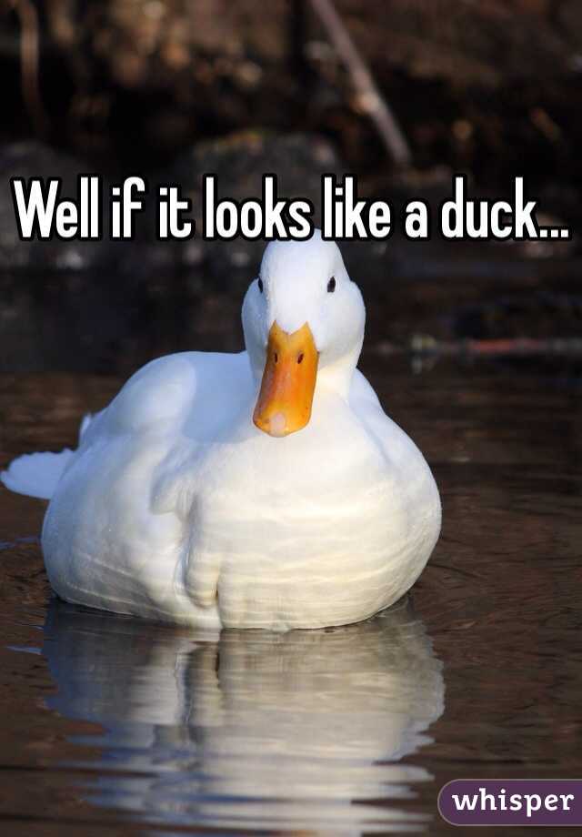 Well if it looks like a duck...