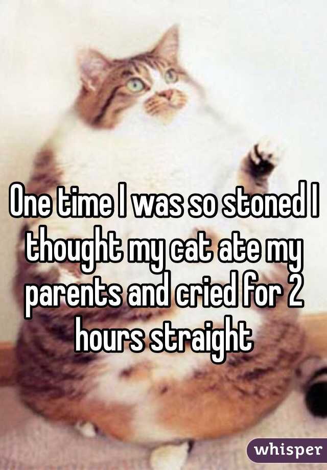 One time I was so stoned I thought my cat ate my parents and cried for 2 hours straight

