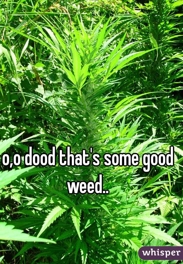 o,o dood that's some good weed.. 