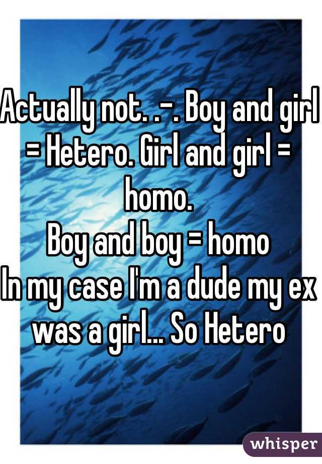 Actually not. .-. Boy and girl = Hetero. Girl and girl = homo. 
Boy and boy = homo 
In my case I'm a dude my ex was a girl... So Hetero 