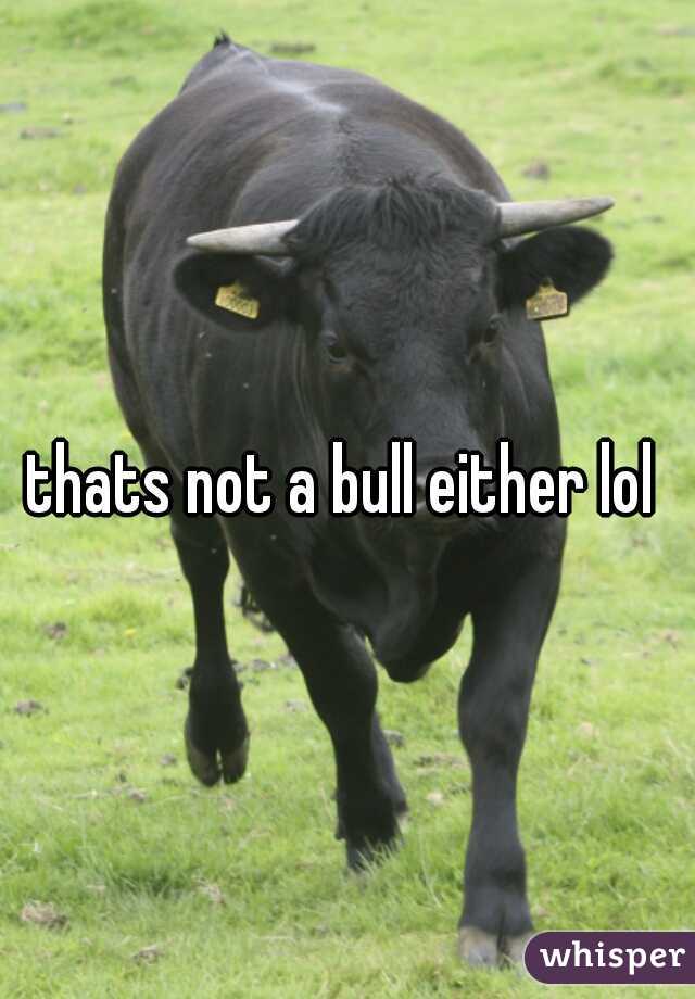 thats not a bull either lol 