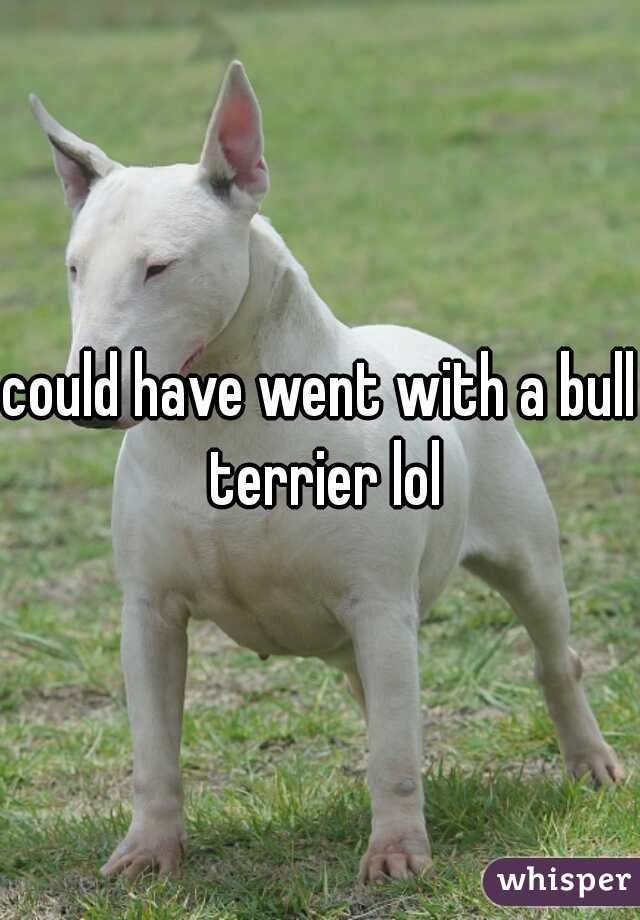 could have went with a bull terrier lol