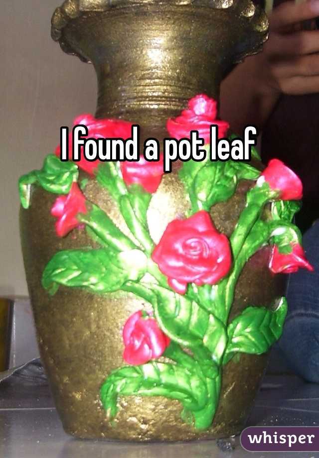I found a pot leaf
