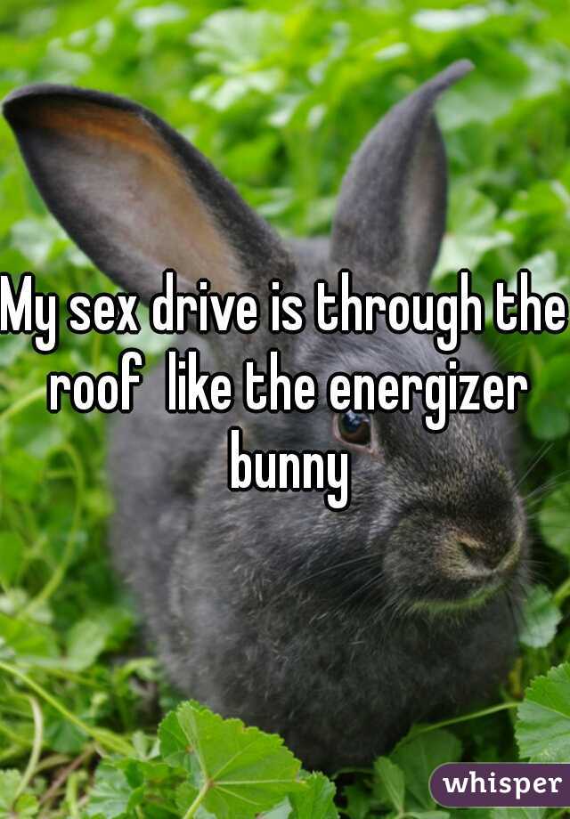 My sex drive is through the roof  like the energizer bunny