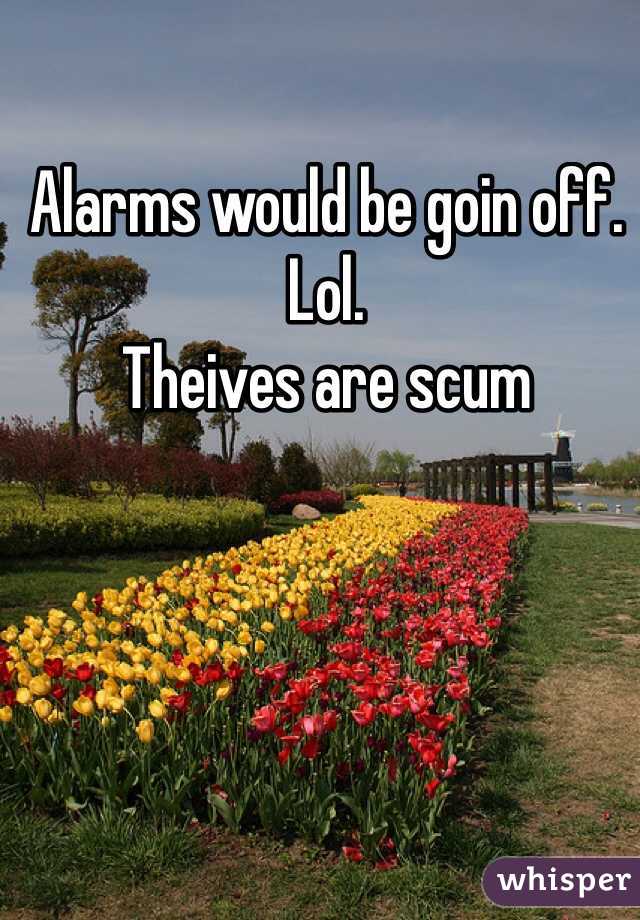 Alarms would be goin off.   Lol.  
Theives are scum