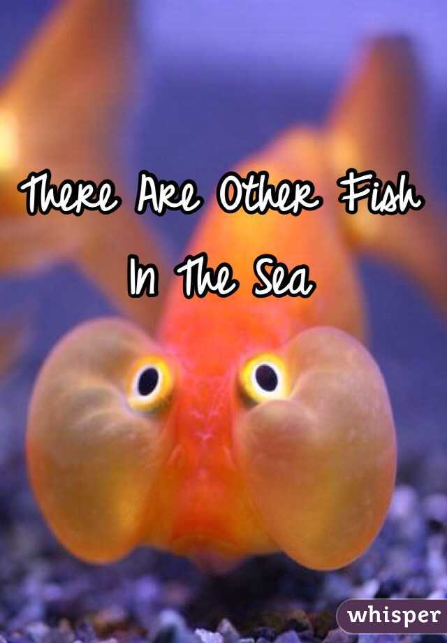 There Are Other Fish In The Sea
