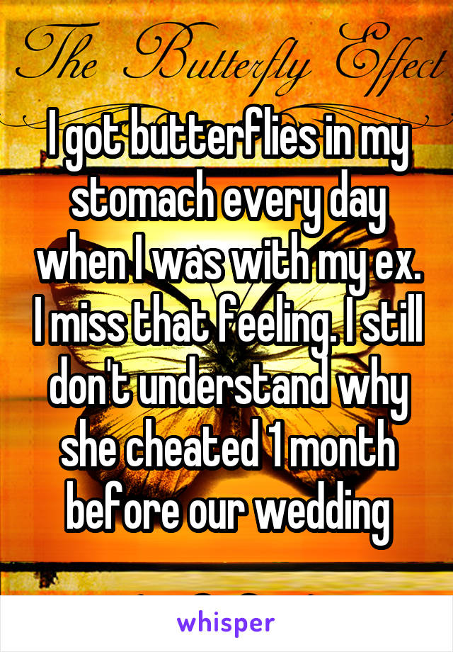 I got butterflies in my stomach every day when I was with my ex. I miss that feeling. I still don't understand why she cheated 1 month before our wedding