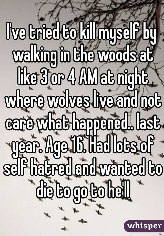 I've tried to kill myself by walking in the woods at like 3 or 4 AM at night where wolves live and not care what happened.. last year. Age 16. Had lots of self hatred and wanted to die to go to he'll