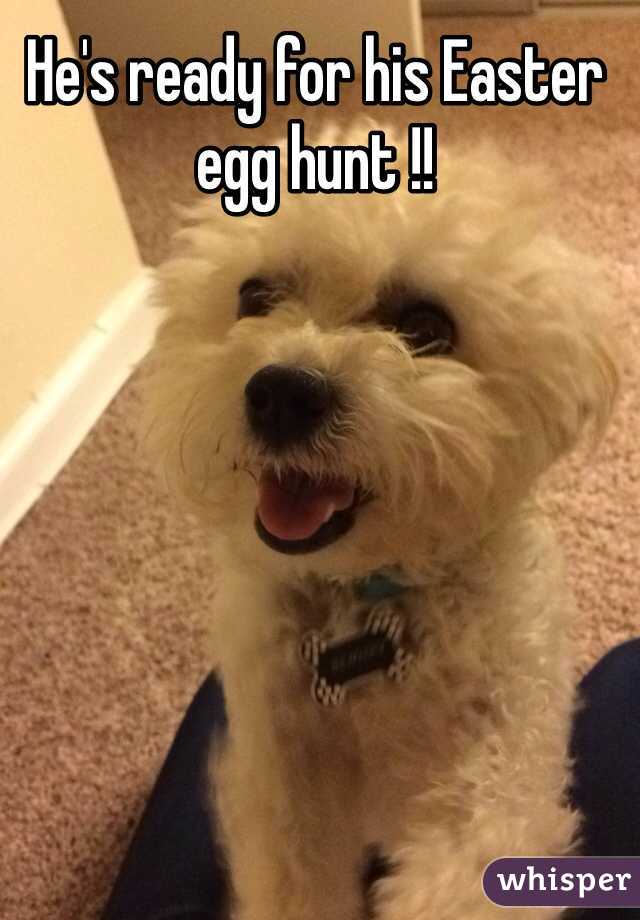 He's ready for his Easter egg hunt !!