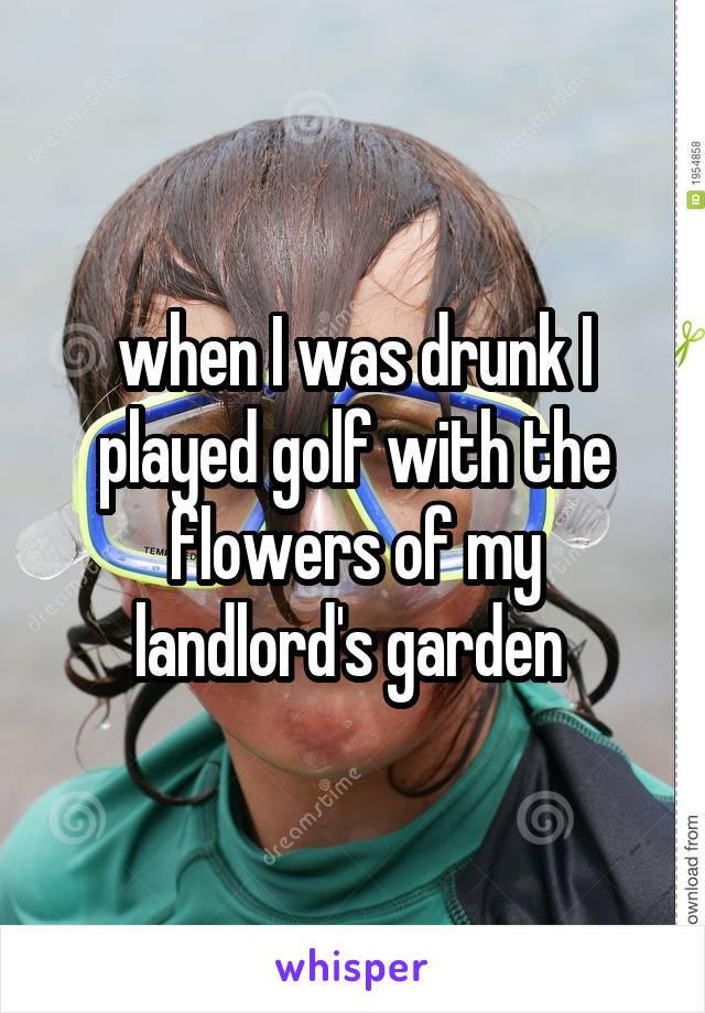 when I was drunk I played golf with the flowers of my landlord's garden 