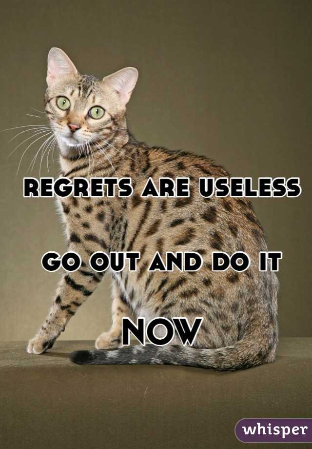 regrets are useless

go out and do it

NOW
