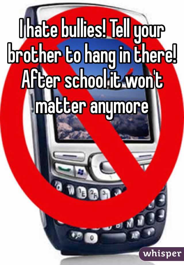 I hate bullies! Tell your brother to hang in there! After school it won't matter anymore 