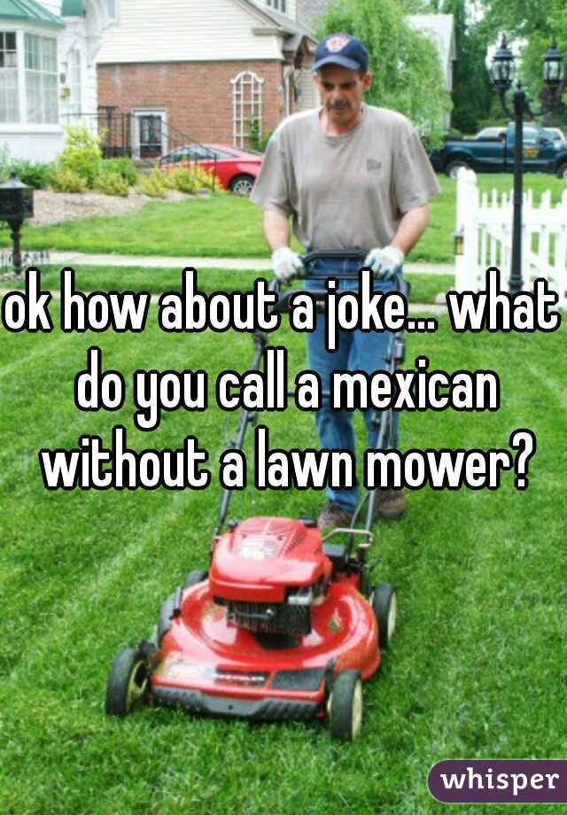 ok how about a joke... what do you call a mexican without a lawn mower?
