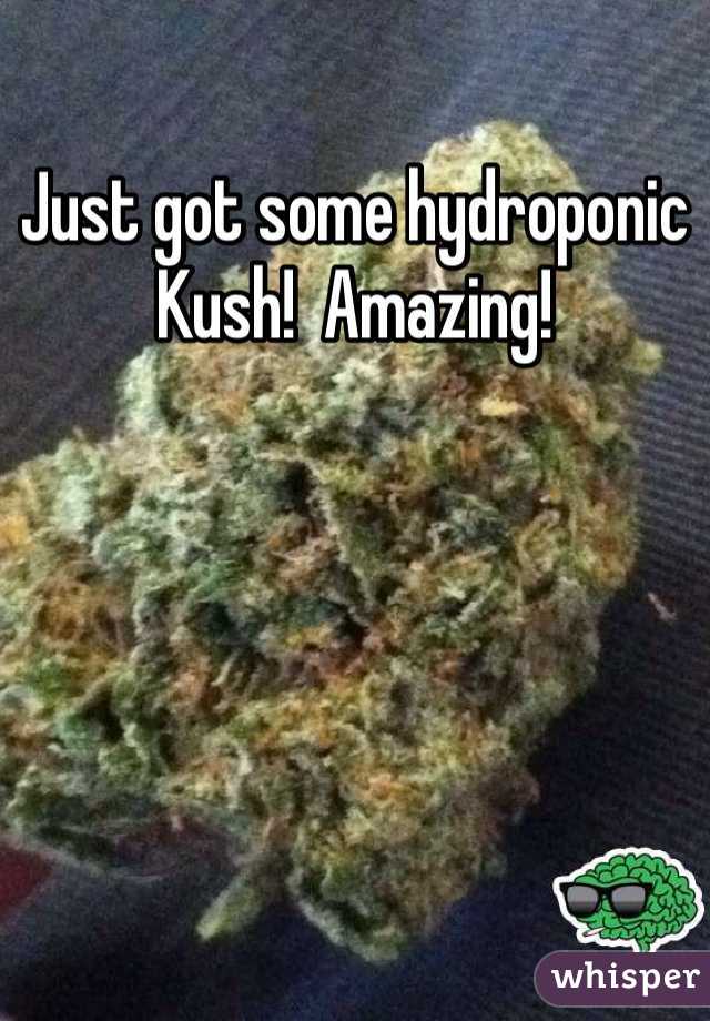 Just got some hydroponic Kush!  Amazing!