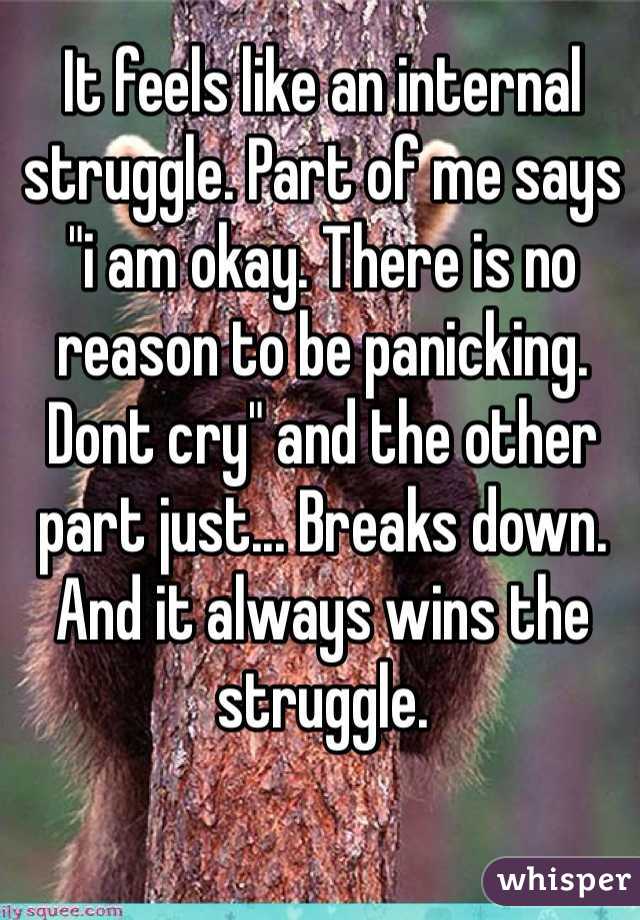 It feels like an internal struggle. Part of me says "i am okay. There is no reason to be panicking. Dont cry" and the other part just... Breaks down. And it always wins the struggle.