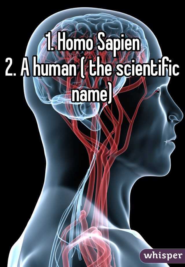 1. Homo Sapien
2. A human ( the scientific name)