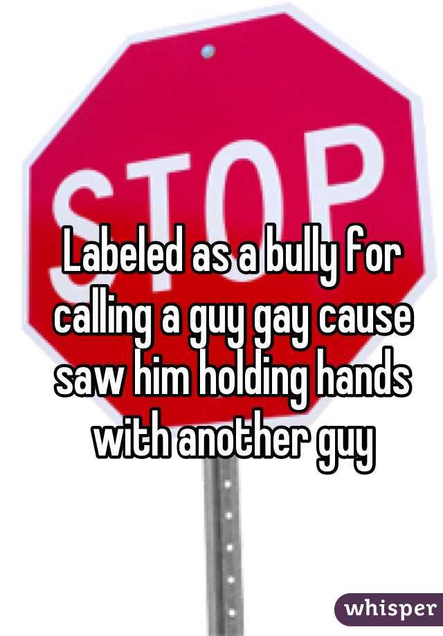 Labeled as a bully for calling a guy gay cause saw him holding hands with another guy