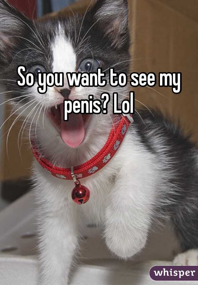 So you want to see my penis? Lol