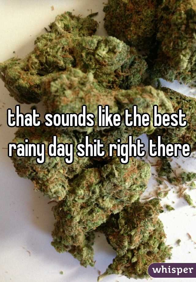 that sounds like the best rainy day shit right there