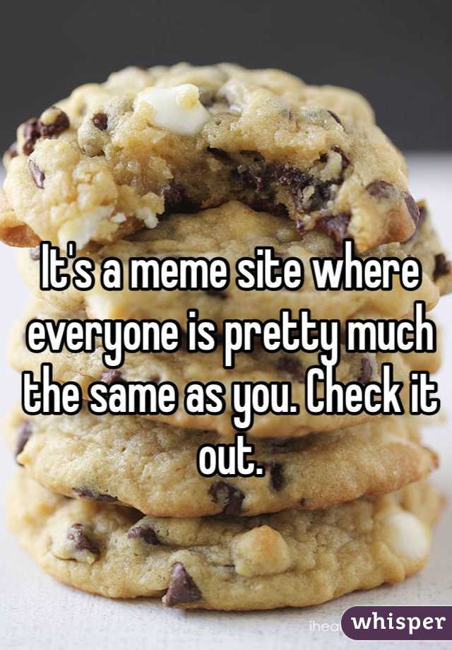 It's a meme site where everyone is pretty much the same as you. Check it out.