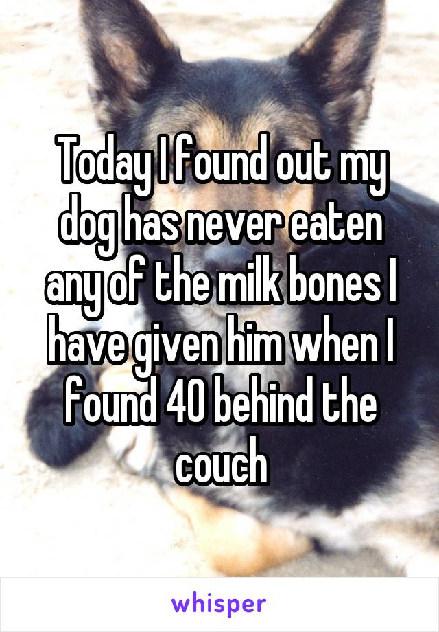 Today I found out my dog has never eaten any of the milk bones I have given him when I found 40 behind the couch