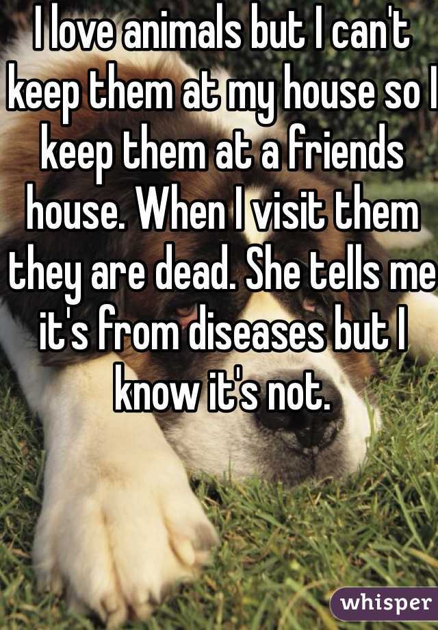 I love animals but I can't keep them at my house so I keep them at a friends house. When I visit them they are dead. She tells me it's from diseases but I know it's not. 
