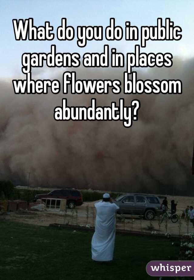 What do you do in public gardens and in places where flowers blossom abundantly?