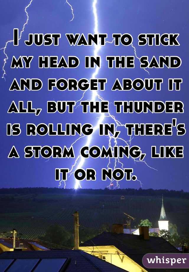 I just want to stick my head in the sand and forget about it all, but the thunder is rolling in, there's a storm coming, like it or not. 