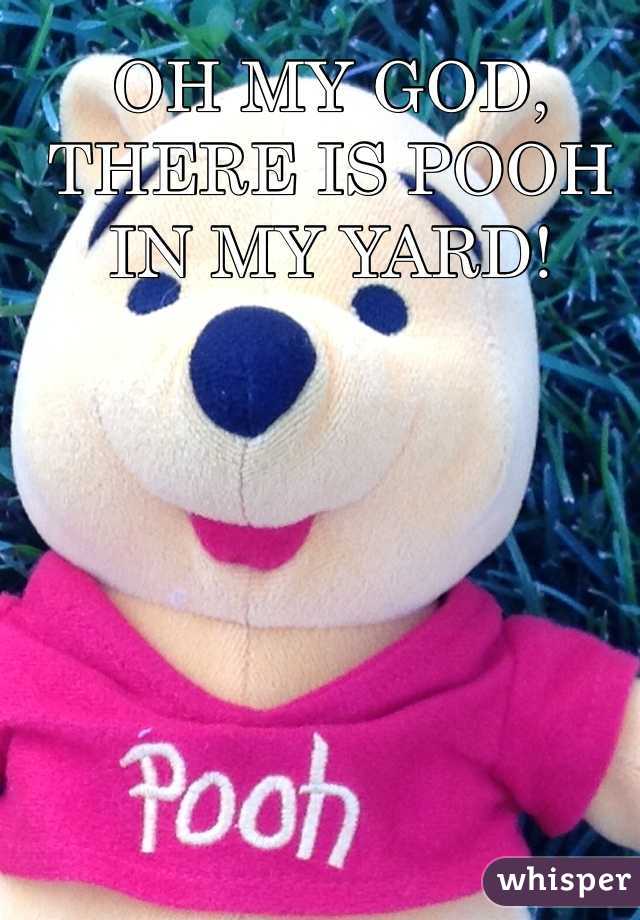 OH MY GOD, THERE IS POOH IN MY YARD!