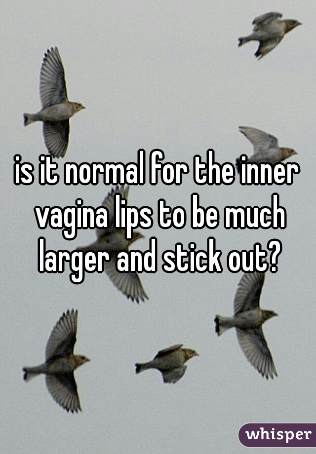 is it normal for the inner vagina lips to be much larger and stick out?