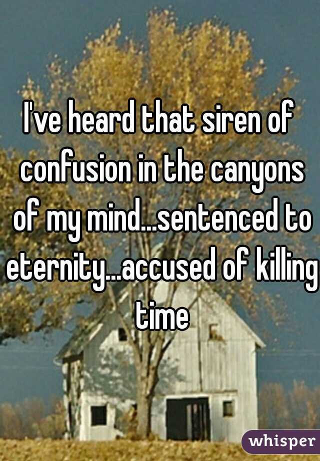 I've heard that siren of confusion in the canyons of my mind...sentenced to eternity...accused of killing time