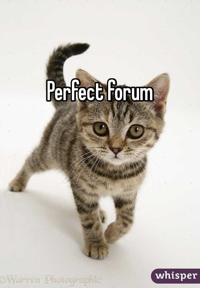Perfect forum