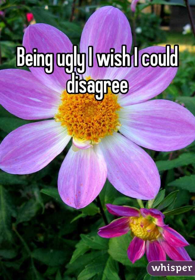 Being ugly I wish I could disagree