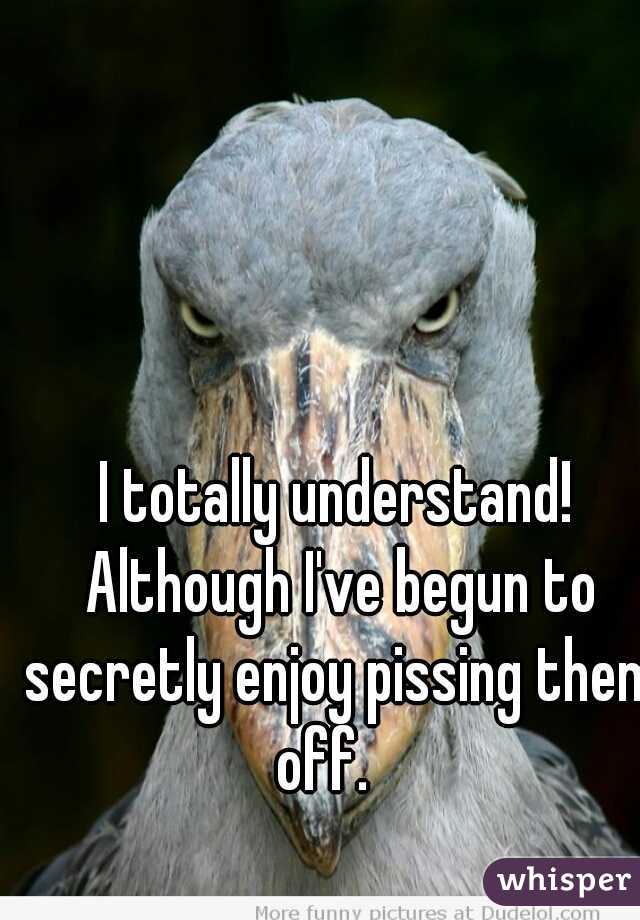 I totally understand! Although I've begun to secretly enjoy pissing them off.   